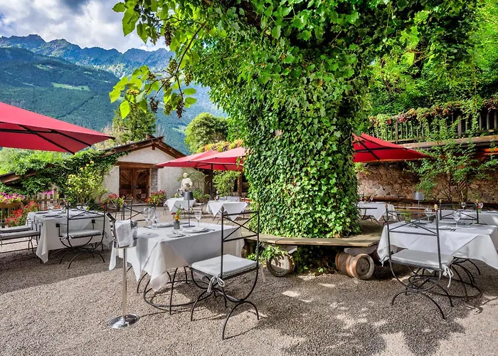 Haustierfreundliches Hotel: Schlosswirt Forst