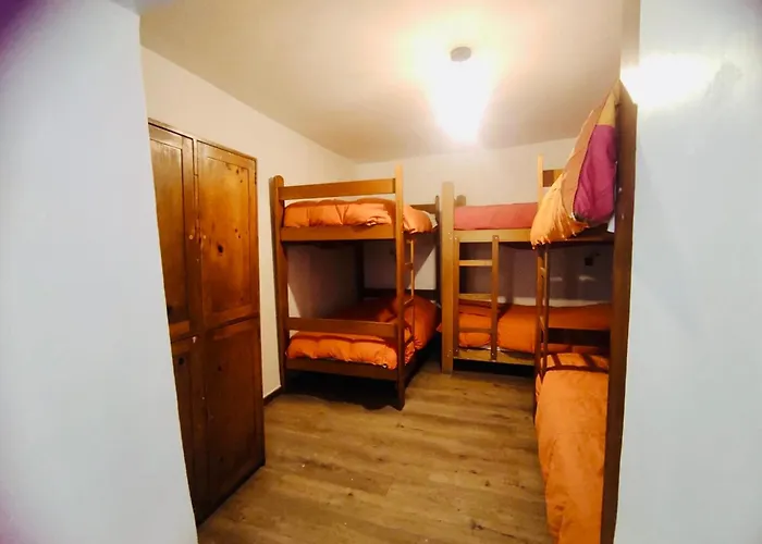 Haustierfreundliches Hotel: Flying Dog Hostel Cusco