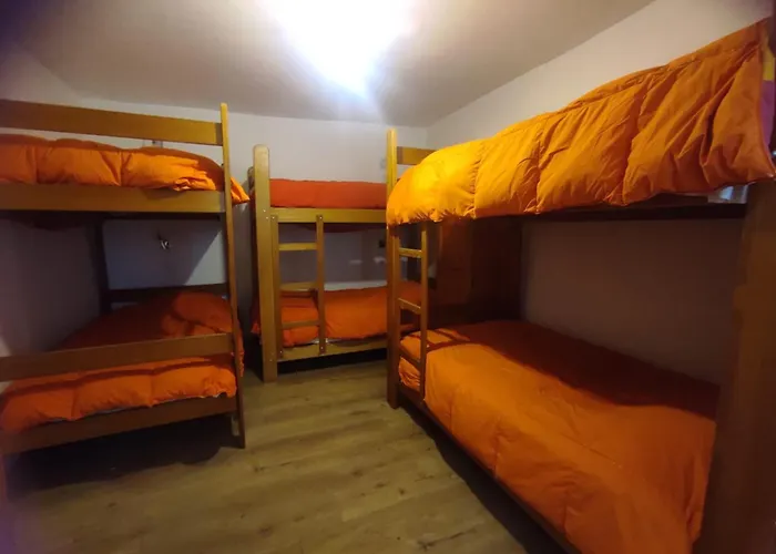 Haustierfreundliches Hotel: Flying Dog Hostel Cusco