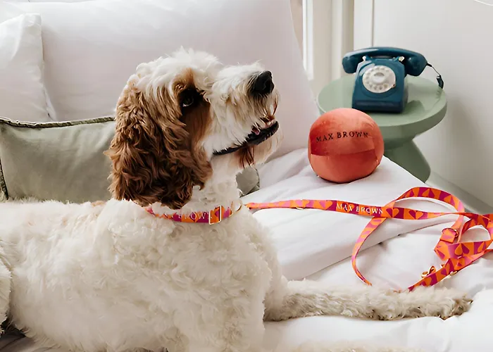 3-Sterne-Hotel: Max Brown Hotel Museum Square, Part Of Sircle Collection