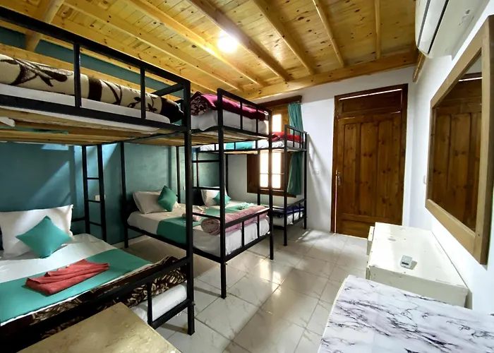 Günstiges Hotel: Octopus Hotel