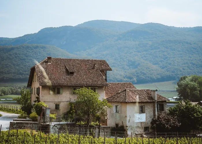 Hotel: Weinbergsuite Panholzer