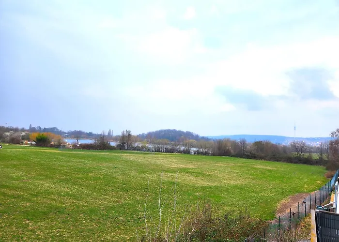 Blümchen Am Kiesgrube