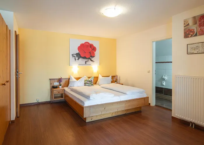 Haustierfreundliches Hotel: Hotel Renchtalblick