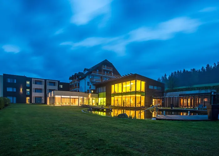 Hotel Schwarz Alm Zwettl