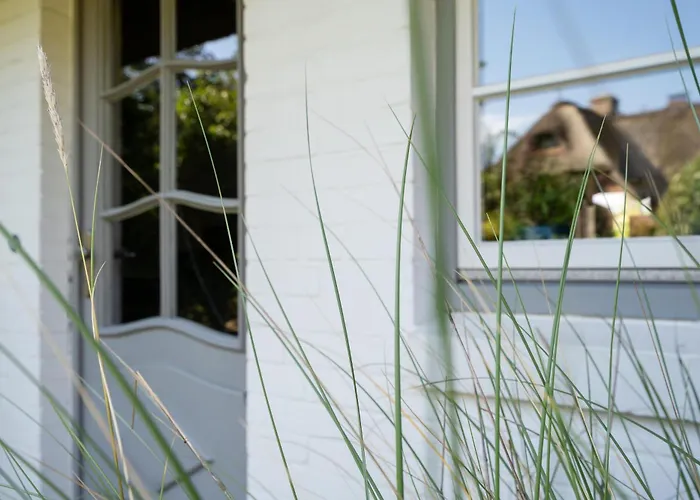 Haustierfreundliches Hotel: Süderstraße 46 2