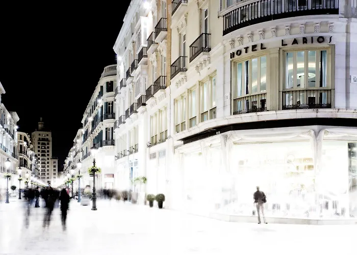 Hotel Am Larios Malaga