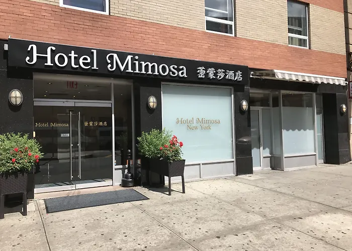 Motel: Hotel Mimosa