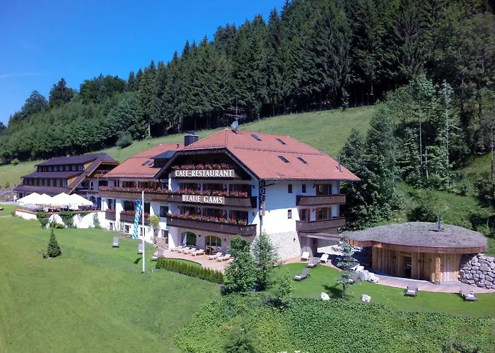 3-Sterne-Hotel: Hotel Blaue Gams ***S