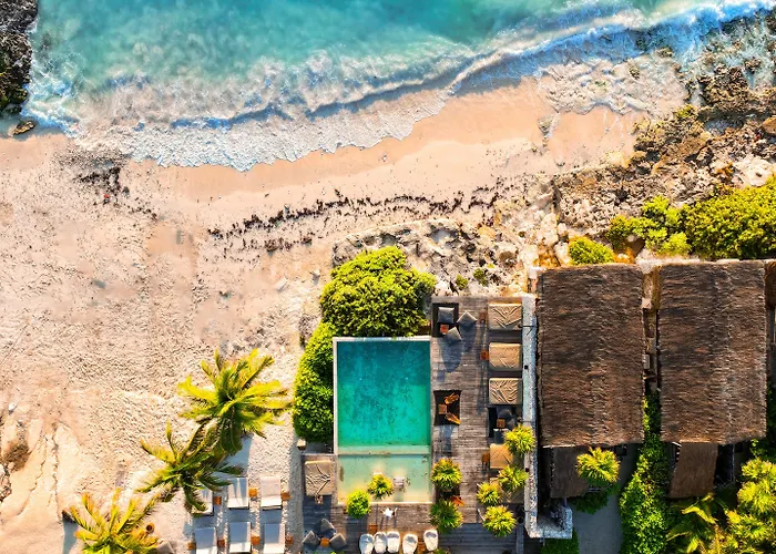 Our Habitas - Adults Only