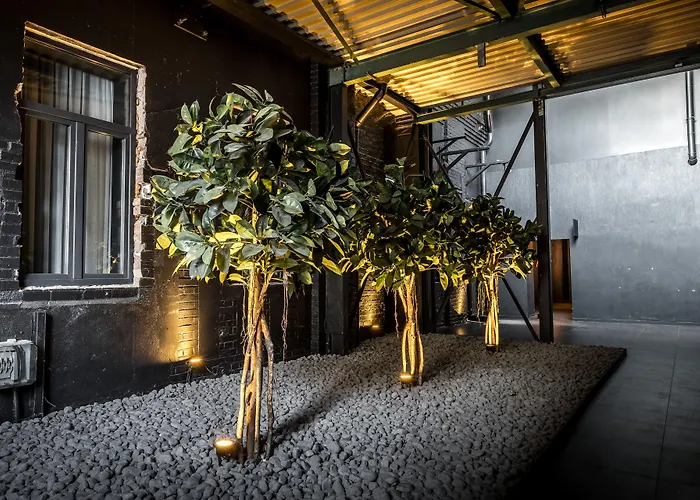 Haustierfreundliches Hotel: Black Hotels Köln