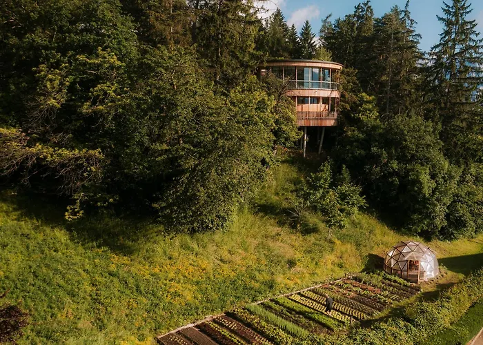 Jacuzzi-Hotel: Der Waldhof
