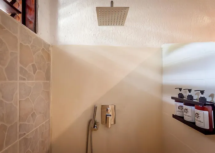 3-Sterne-Hotel: Beachfront Hotel La Palapa - Adults Only