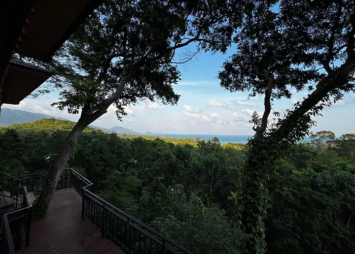 Haustierfreundliches Hotel: Pawpaw Resort