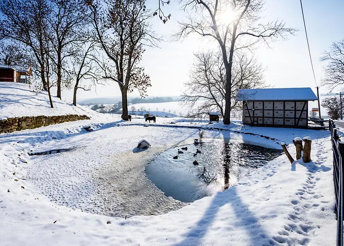 Haustierfreundliches Hotel: Ferienhof Domäne Groschwitz