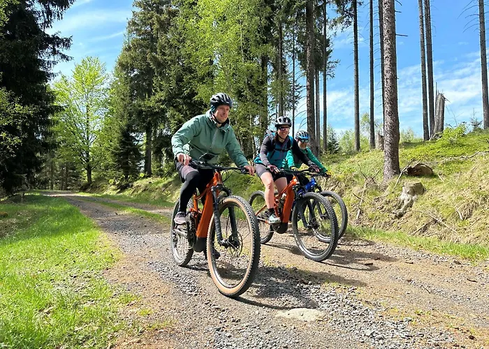 Haustierfreundliches Hotel: Elements Hotel&Spa