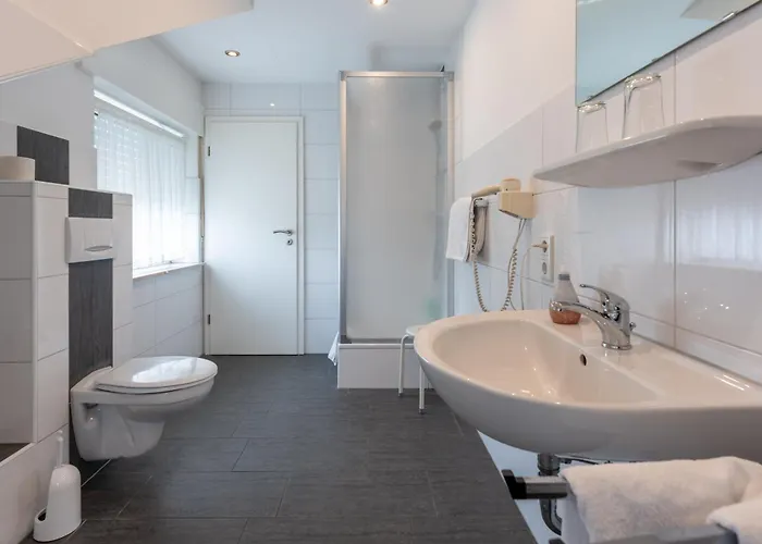 3-Sterne-Hotel: Rixbecker Alpen - Hotel Koch