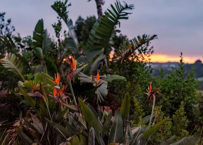 Jacuzzi-Hotel: Pezula Nature Retreat