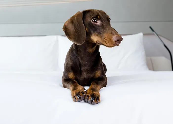 Melia White House Hotel