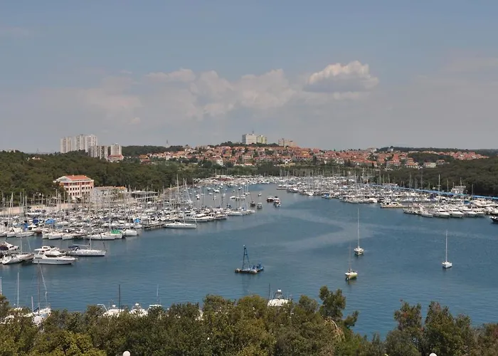 Palma