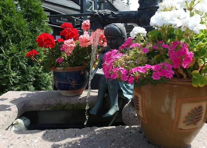 3-Sterne-Hotel: Hotel Clemens