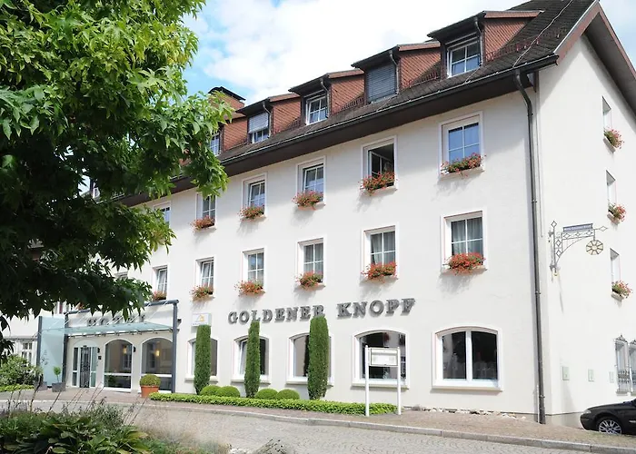 Hotel: Ringhotel Goldener Knopf