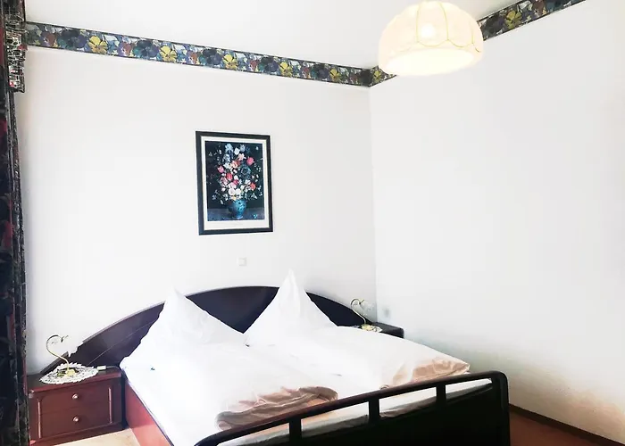 Haustierfreundliches Hotel: Hotel Seemöwe