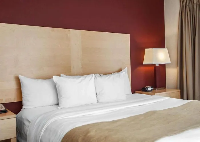 Hotel nahe College: Comfort Suites Michigan Avenue