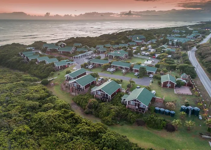 Ping Pong Hotel: Pine Lodge Resort