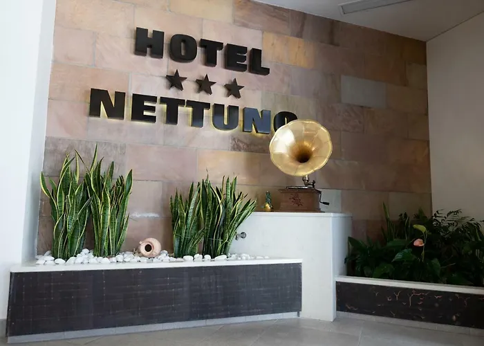 3-Sterne-Hotel: Hotel Nettuno