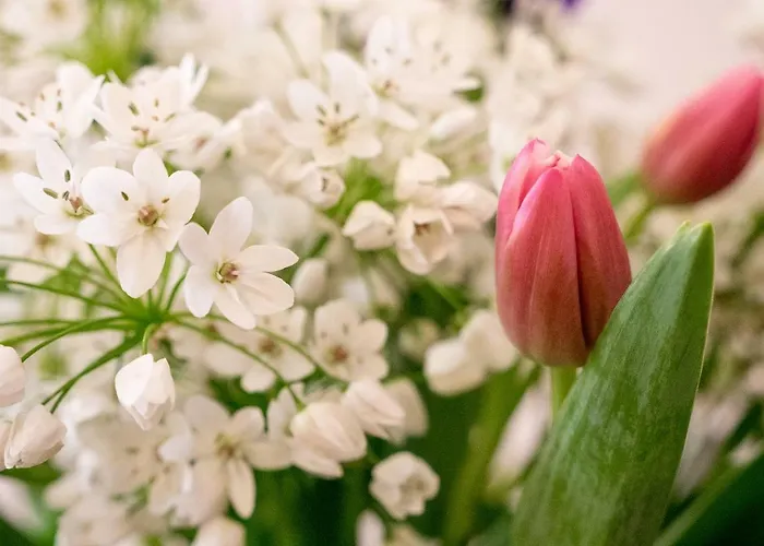 Kurhotel: Campo Marzio Charming