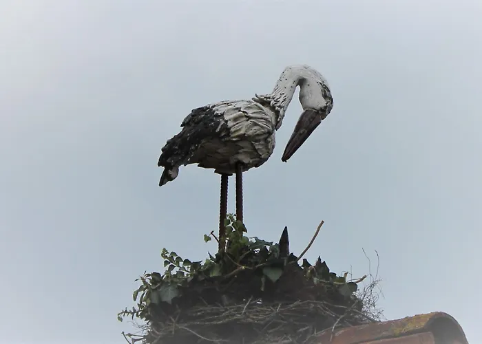 Storchennest